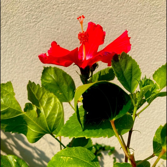 Meet your Posher, - Picture 1 of 1